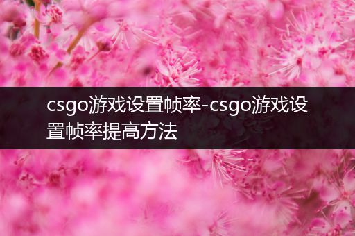 csgo游戏设置帧率-csgo游戏设置帧率提高方法