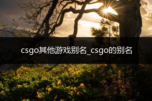 csgo其他游戏别名_csgo的别名
