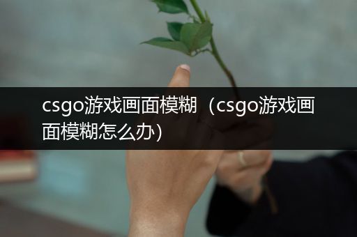 csgo游戏画面模糊（csgo游戏画面模糊怎么办）