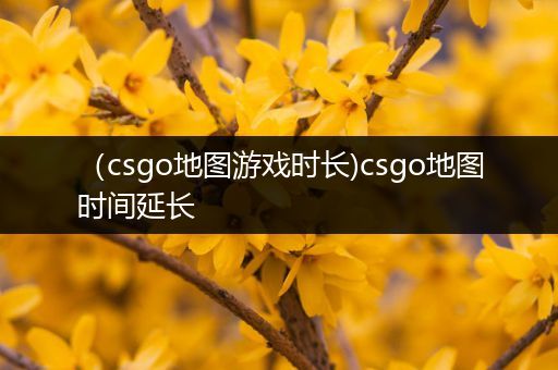 （csgo地图游戏时长)csgo地图时间延长