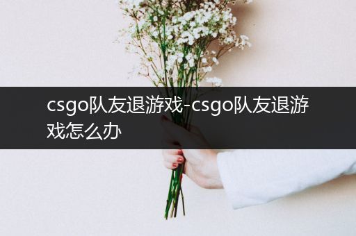 csgo队友退游戏-csgo队友退游戏怎么办