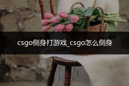 csgo侧身打游戏_csgo怎么侧身