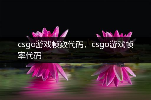 csgo游戏帧数代码，csgo游戏帧率代码