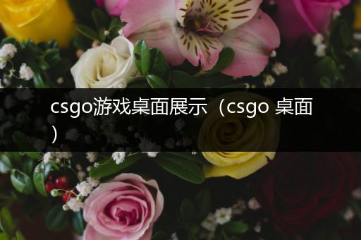 csgo游戏桌面展示（csgo 桌面）