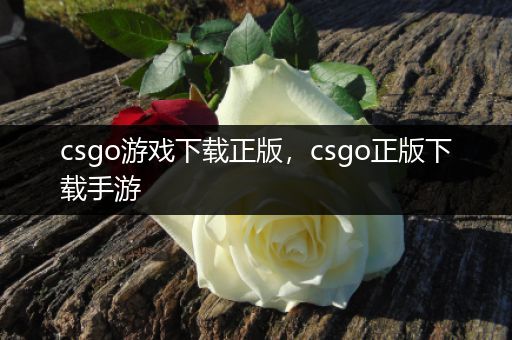 csgo游戏下载正版，csgo正版下载手游