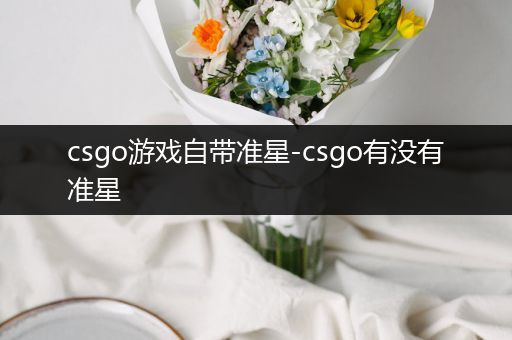 csgo游戏自带准星-csgo有没有准星