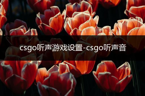 csgo听声游戏设置-csgo听声音