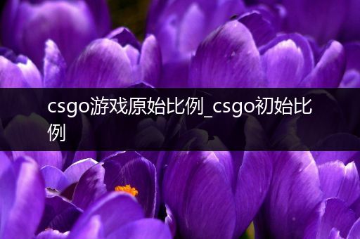 csgo游戏原始比例_csgo初始比例