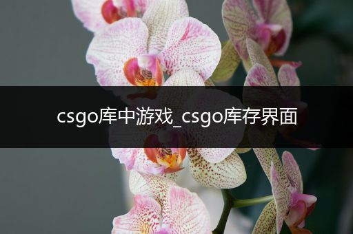 csgo库中游戏_csgo库存界面