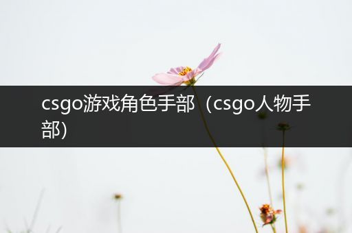 csgo游戏角色手部（csgo人物手部）