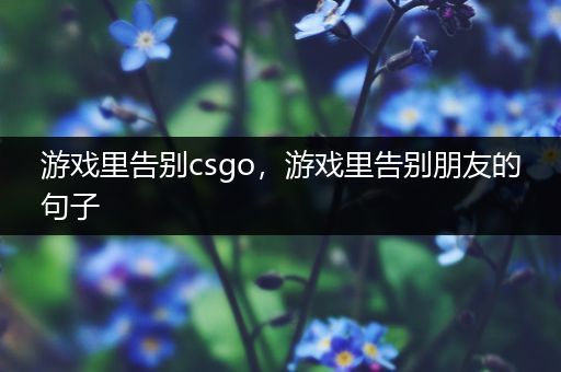 游戏里告别csgo，游戏里告别朋友的句子