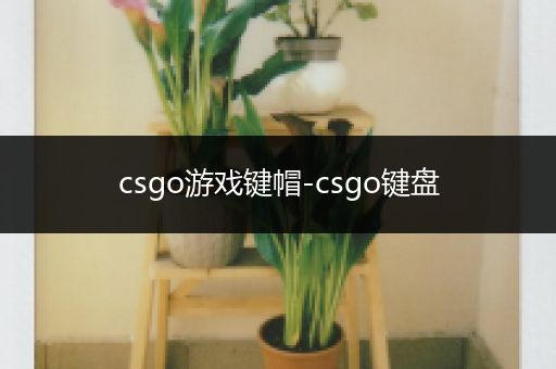 csgo游戏键帽-csgo键盘