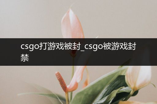 csgo打游戏被封_csgo被游戏封禁