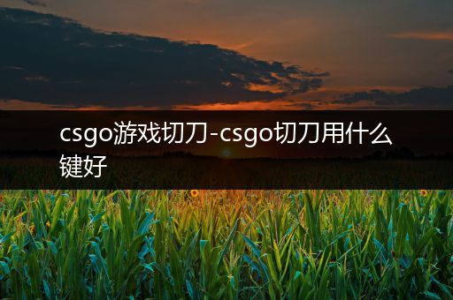 csgo游戏切刀-csgo切刀用什么键好