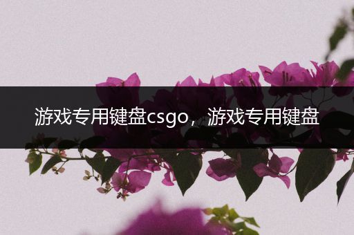 游戏专用键盘csgo，游戏专用键盘