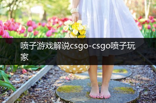 喷子游戏解说csgo-csgo喷子玩家