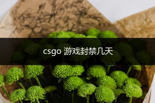 csgo 游戏封禁几天