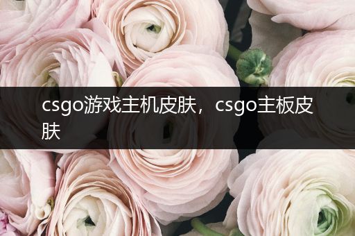 csgo游戏主机皮肤，csgo主板皮肤
