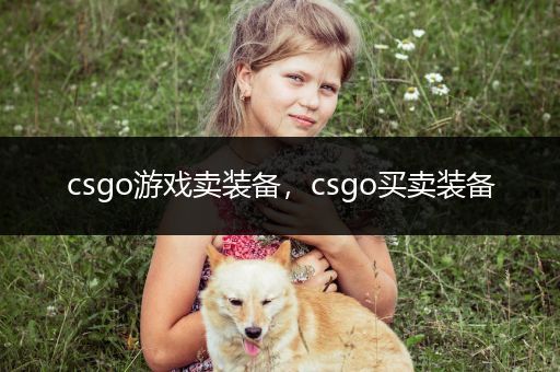 csgo游戏卖装备，csgo买卖装备