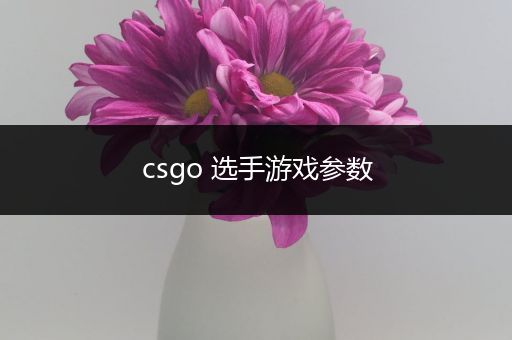 csgo 选手游戏参数