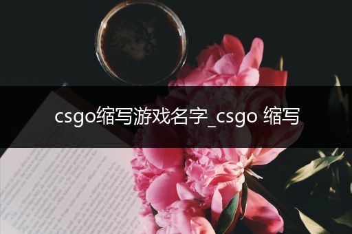 csgo缩写游戏名字_csgo 缩写