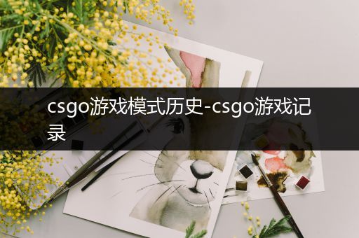 csgo游戏模式历史-csgo游戏记录