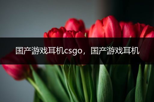 国产游戏耳机csgo，国产游戏耳机