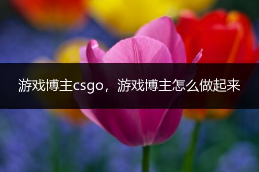 游戏博主csgo，游戏博主怎么做起来