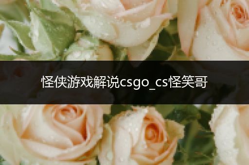 怪侠游戏解说csgo_cs怪笑哥