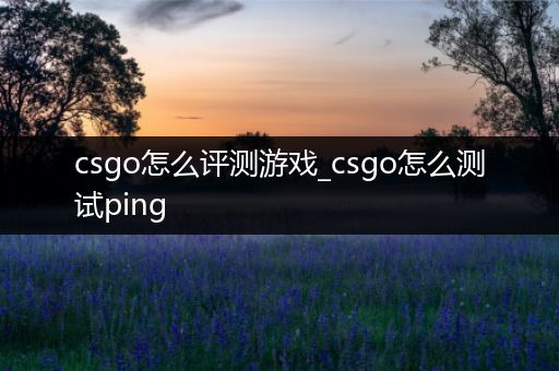 csgo怎么评测游戏_csgo怎么测试ping