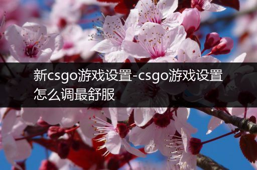 新csgo游戏设置-csgo游戏设置怎么调最舒服