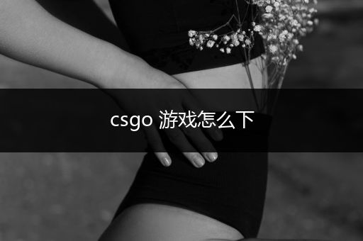 csgo 游戏怎么下