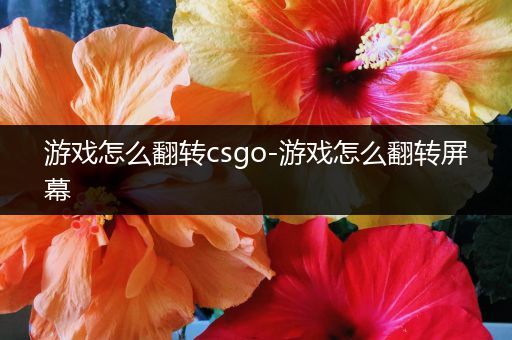 游戏怎么翻转csgo-游戏怎么翻转屏幕