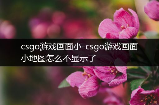 csgo游戏画面小-csgo游戏画面小地图怎么不显示了