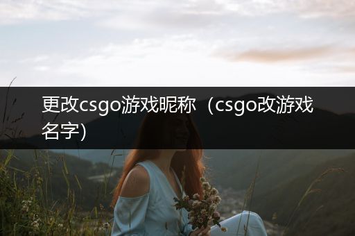 更改csgo游戏昵称（csgo改游戏名字）