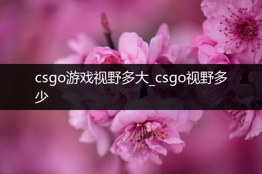 csgo游戏视野多大_csgo视野多少