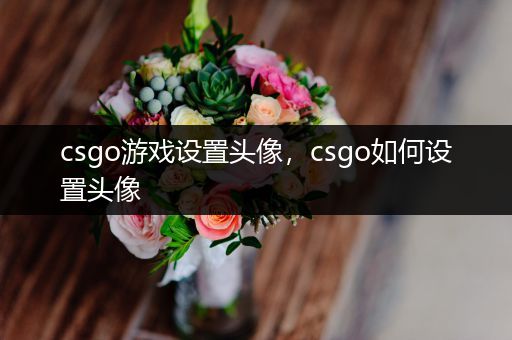 csgo游戏设置头像，csgo如何设置头像