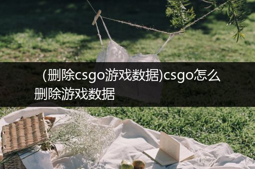 （删除csgo游戏数据)csgo怎么删除游戏数据