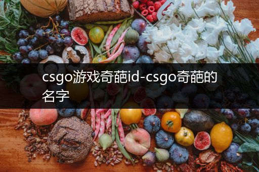 csgo游戏奇葩id-csgo奇葩的名字