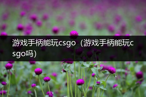 游戏手柄能玩csgo（游戏手柄能玩csgo吗）