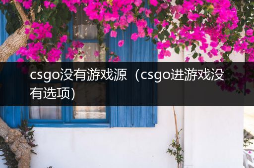 csgo没有游戏源（csgo进游戏没有选项）