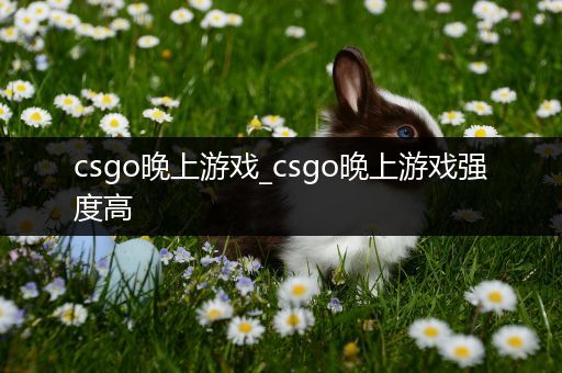 csgo晚上游戏_csgo晚上游戏强度高