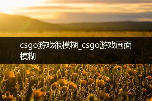 csgo游戏很模糊_csgo游戏画面模糊