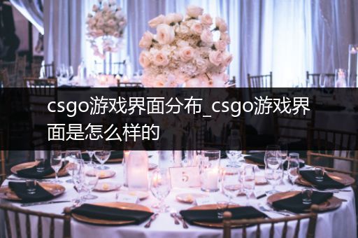 csgo游戏界面分布_csgo游戏界面是怎么样的