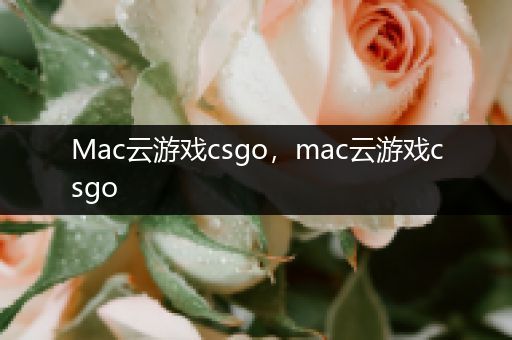 Mac云游戏csgo，mac云游戏csgo