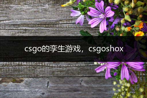 csgo的孪生游戏，csgoshox