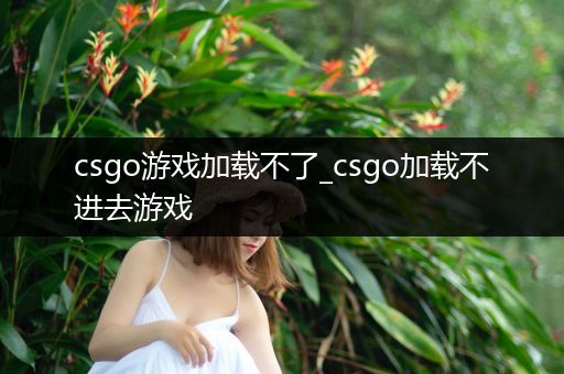 csgo游戏加载不了_csgo加载不进去游戏