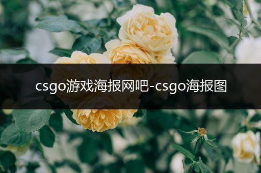 csgo游戏海报网吧-csgo海报图