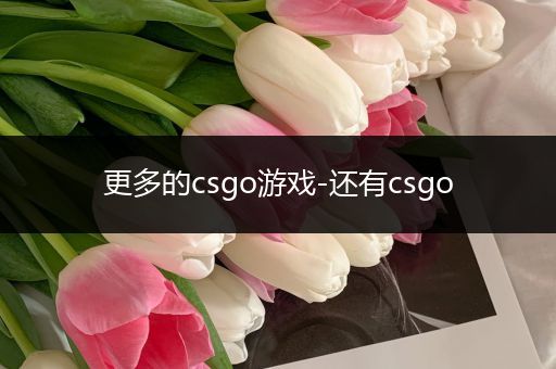 更多的csgo游戏-还有csgo