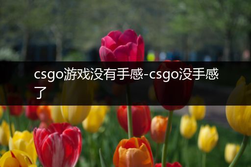 csgo游戏没有手感-csgo没手感了